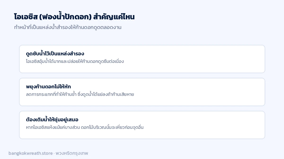 หน้าที่ของโอเอซิสฟองน้ำปักดอก เป็นแหล่งน้ำสำรองให้ก้านดอกไม้ดูดซึมต่อเนื่องตลอดงาน