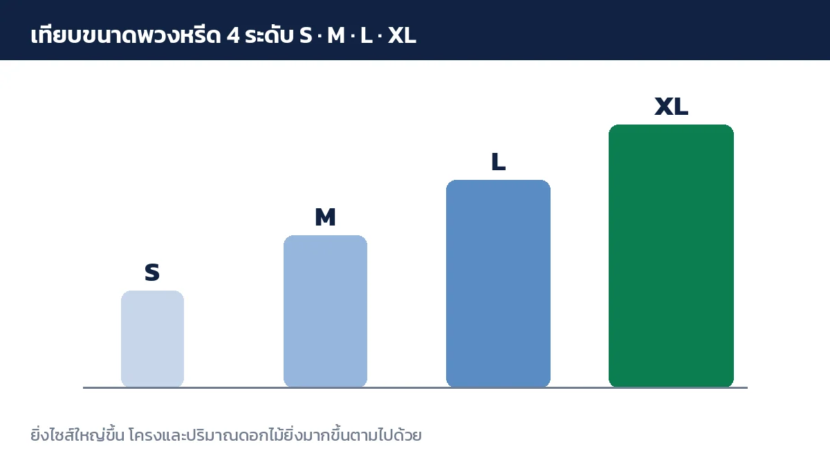 เทียบขนาดพวงหรีด 4 ระดับ S M L XL แสดงเป็นแท่งสูงต่ำตามขนาดจริง