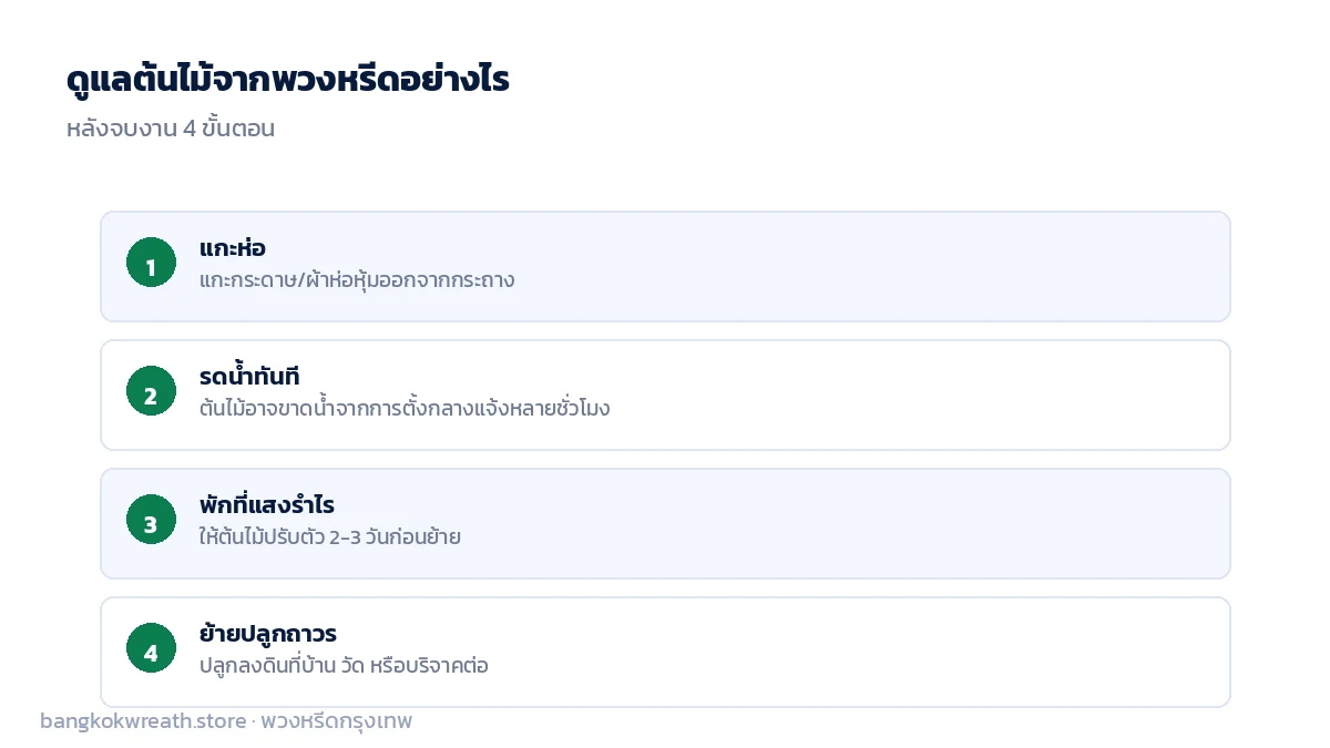ขั้นตอนดูแลต้นไม้จากพวงหรีดหลังจบงาน แกะห่อ รดน้ำ ปรับที่แสงรำไร แล้วย้ายปลูกถาวร