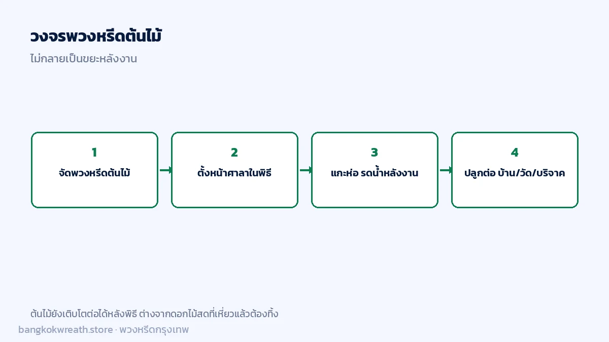 วงจรพวงหรีดต้นไม้ที่เป็นมิตรกับสิ่งแวดล้อม จากงานพิธีสู่การปลูกต่อ ไม่กลายเป็นขยะดอกไม้